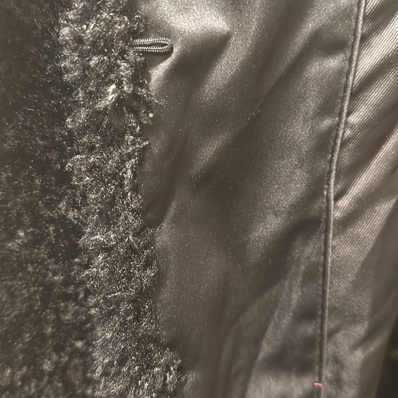 Mango Teddy - Picture 3 of 5